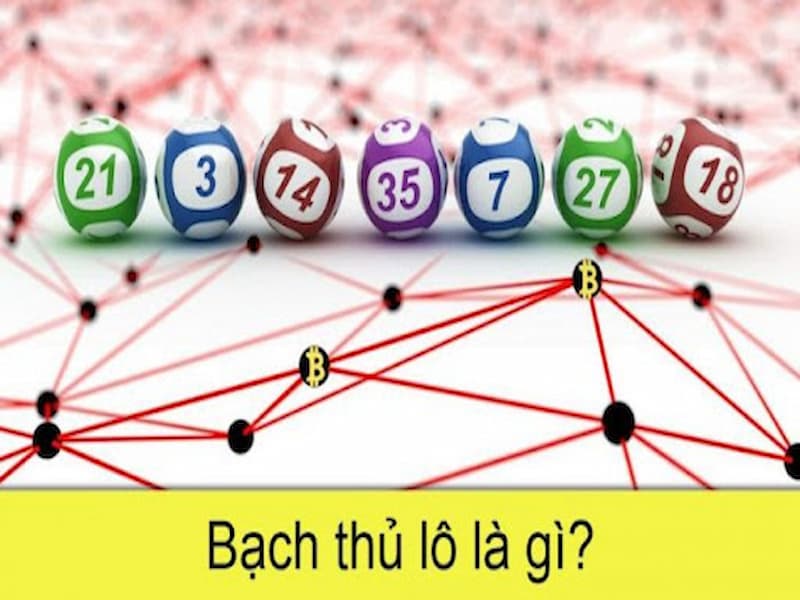 tìm hiểu bạch thủ lô là gì?